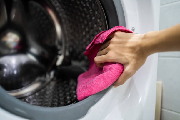  Charleston, MS Mold Removal Pros