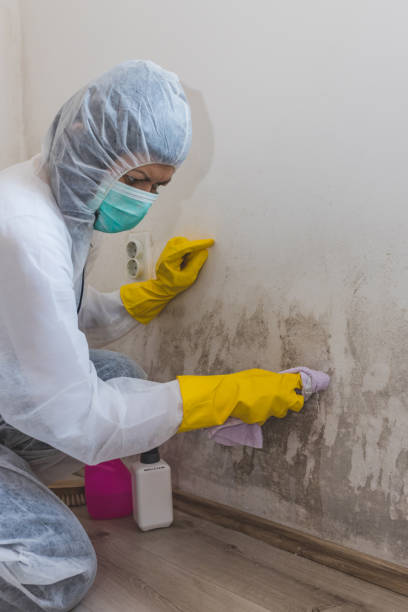Best Indoor Air Quality Assessment  in Charleston, MS