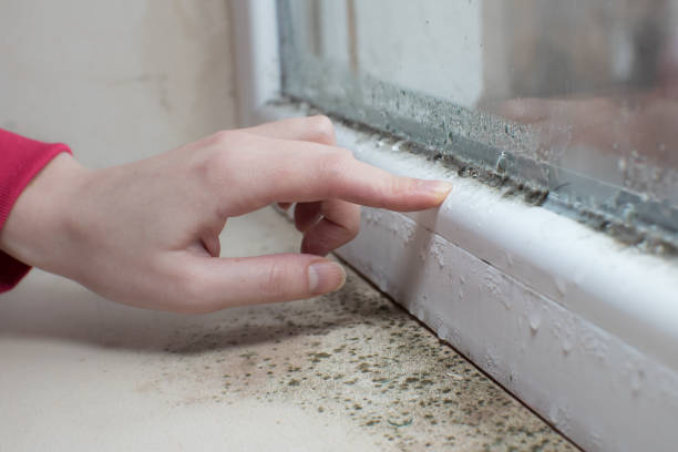 Best Dehumidification Services  in Charleston, MS
