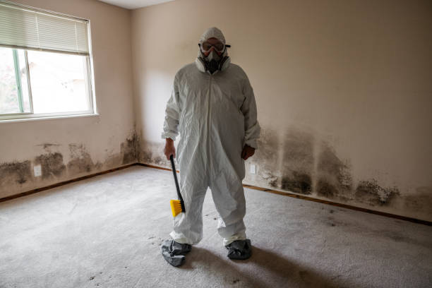 Best Crawl Space Mold Remediation  in Charleston, MS